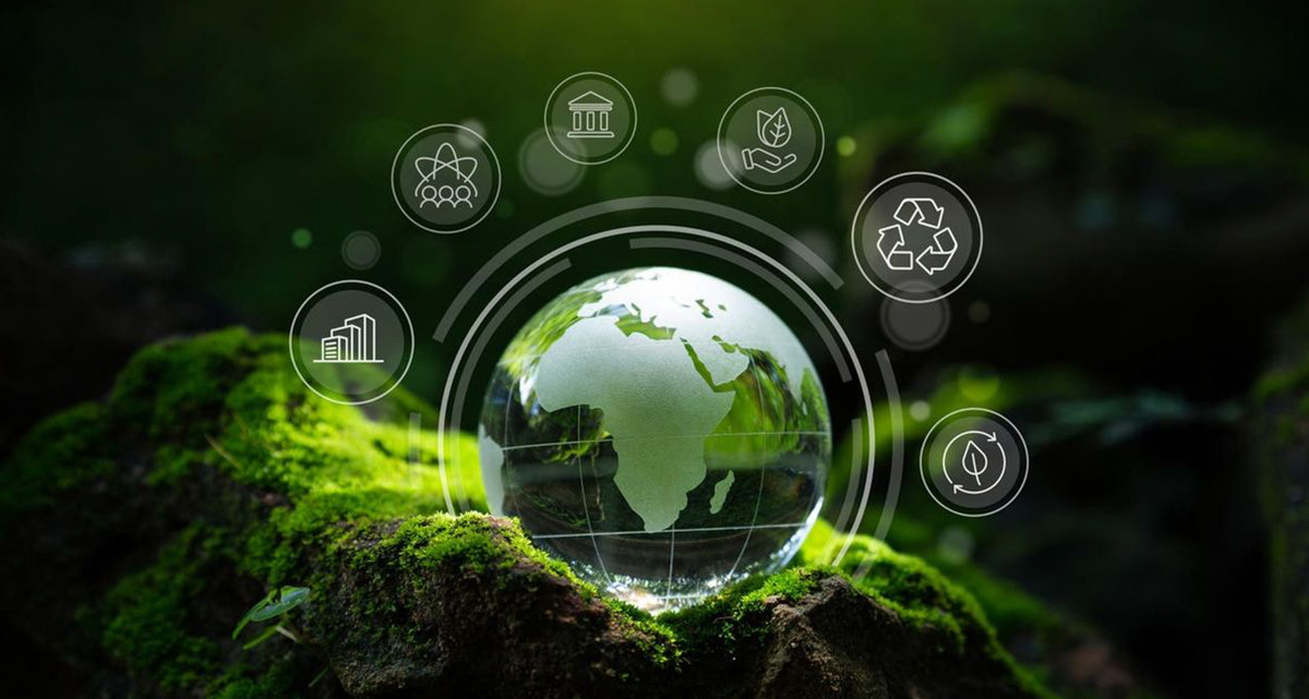 Sieno Institut za istraživanje tehnologije sušenja smrzavanjem (Jiangsu) Co., Ltd